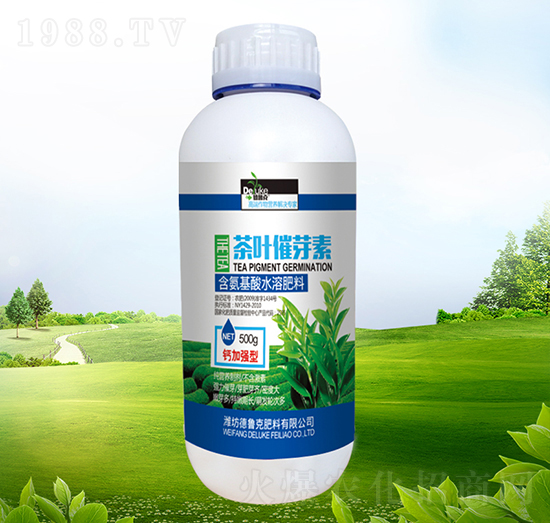 ���~��ѿ��-������