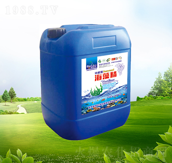 ���徫-������