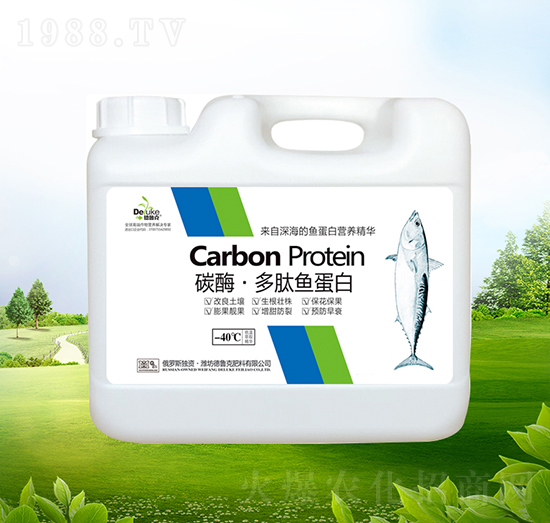 ̼ø�������~(y��)����-������