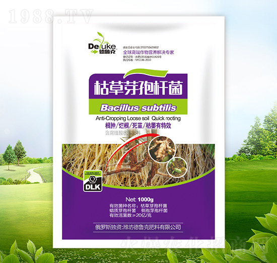 1000g�ݲ�ѿ�ߗU��-������