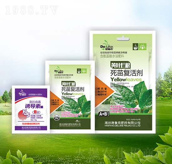 �S�~��������ͻ+�T����-������