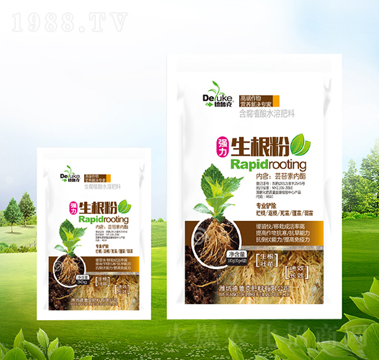 ������-������