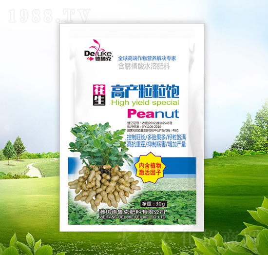 �����߮a�����-������