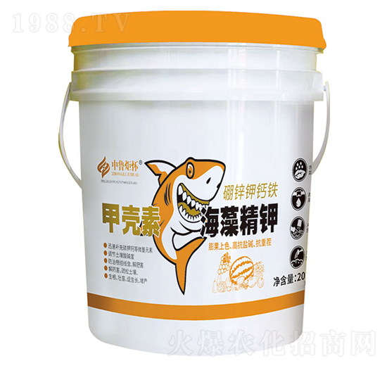 �ך��غ��徫�-ɽ�|�������