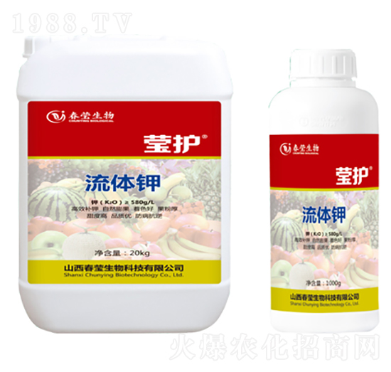 ���w�-���o-��������