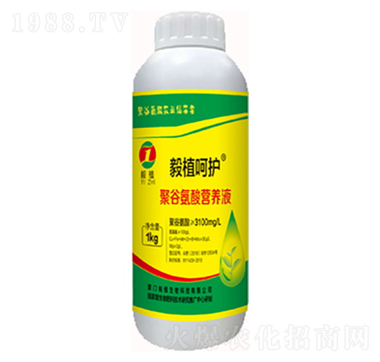 �۹Ȱ���I�B(y��ng)Һ-��ֲ���o(h��)-��ֲ