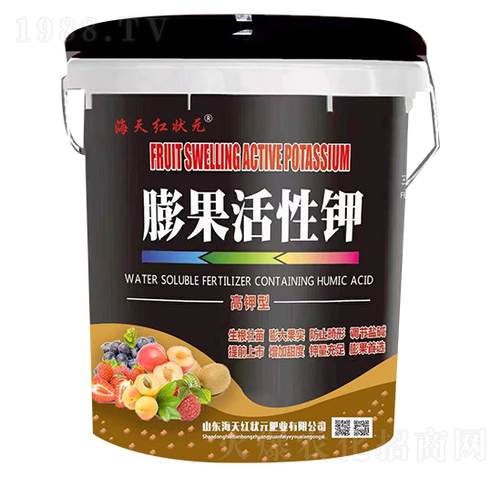 ��������-����t��Ԫ