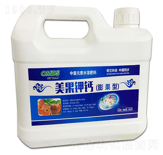 ������}������ͣ�-����ʘI(y��)