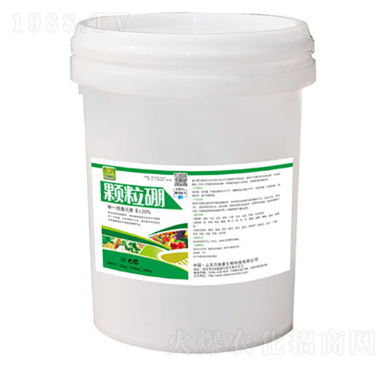 �w����-�f�ﴺ