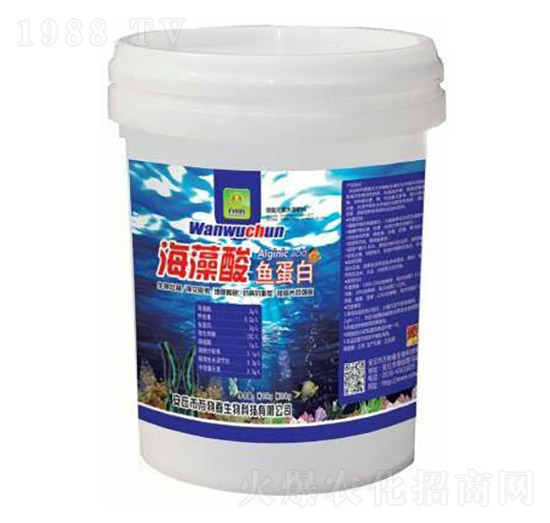 �������~����-�f�ﴺ