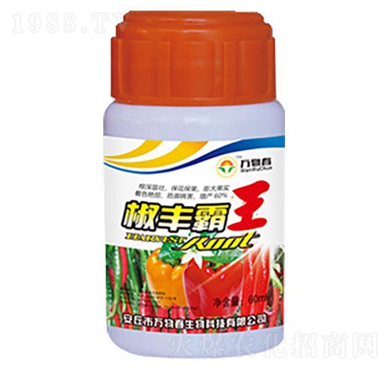 ���S����-�f�ﴺ