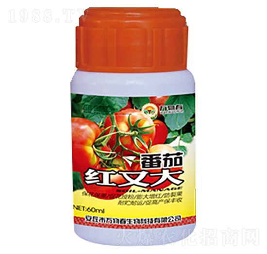 ���Ѽt�ִ�-�f�ﴺ