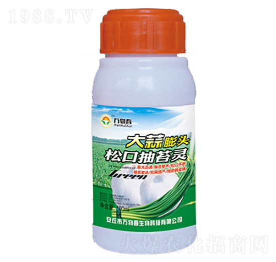 100ml大蒜膨頭松口抽苔靈-萬物春