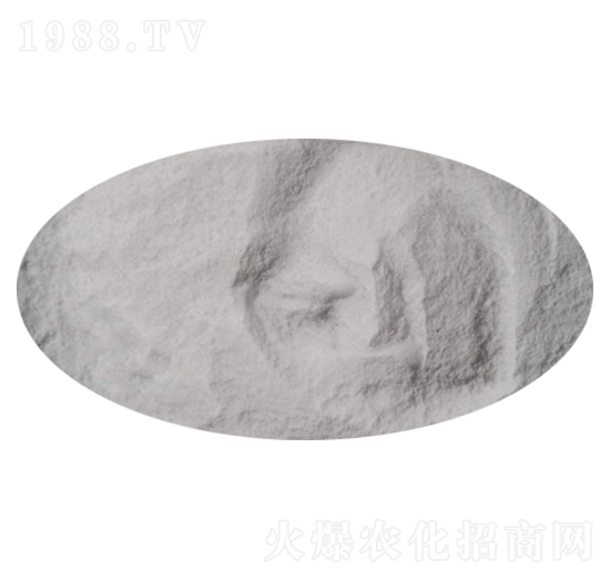 52%�����-��������