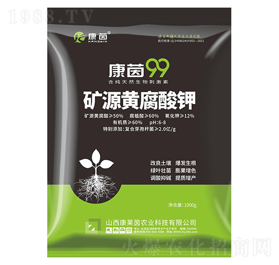 �VԴ�S�����-����99-���R��