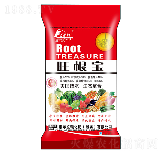 ������-�ʠ���-�л���ʯ