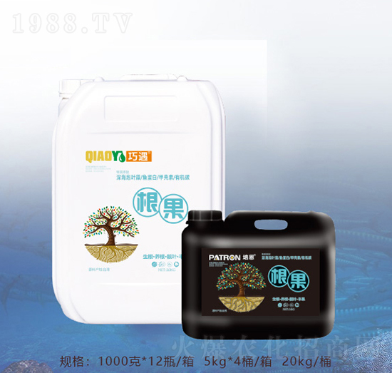 ����-�ٝ��ݰ�