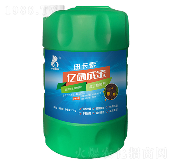 ΢���������ޏ̈́�-�|���ɽ�-���r�W��