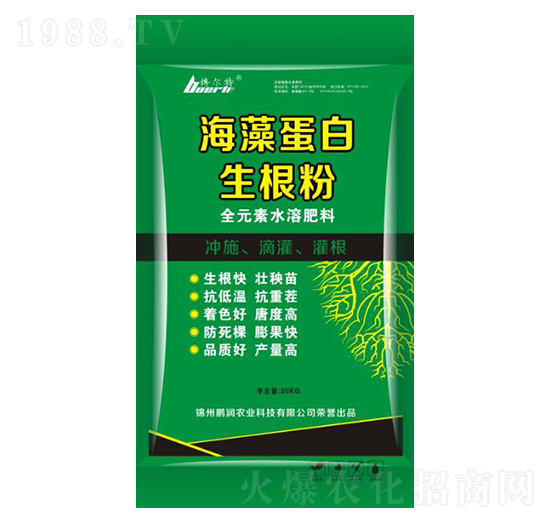 ���嵰��������-�i���r(n��ng)�I(y��)