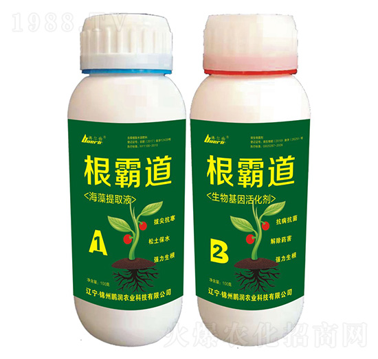 ���Ե�-�i��(r��n)�r(n��ng)�I(y��)