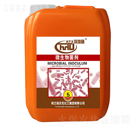 �������������-����ʿ