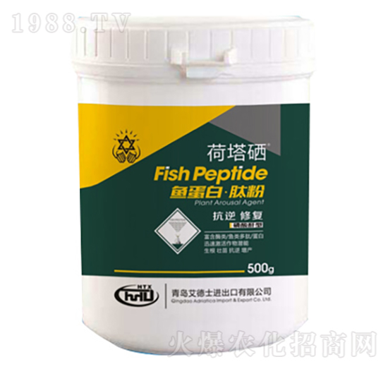 �~���ס��ķ�-����ʿ