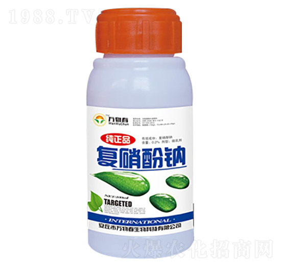 100ml�������c-�f�ﴺ