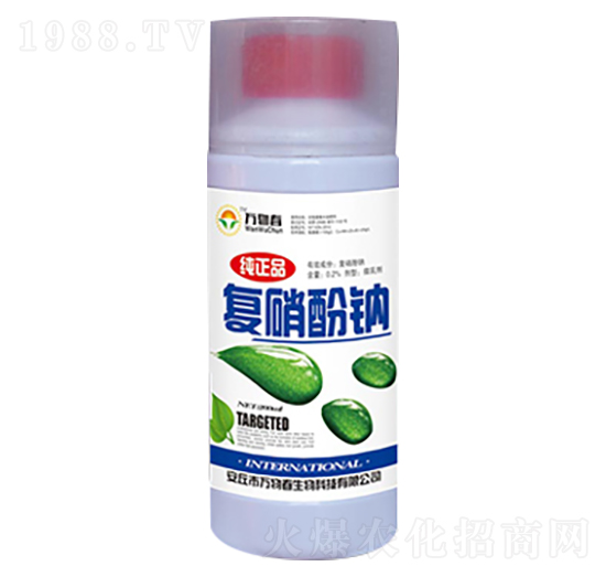 200ml��(f��)�����c-�f�ﴺ