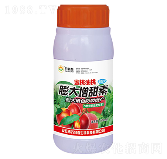 500ml�����������������-�f�ﴺ