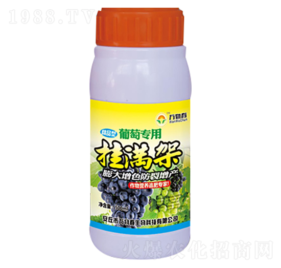 500ml���ђ�M��-�f(w��n)�ﴺ