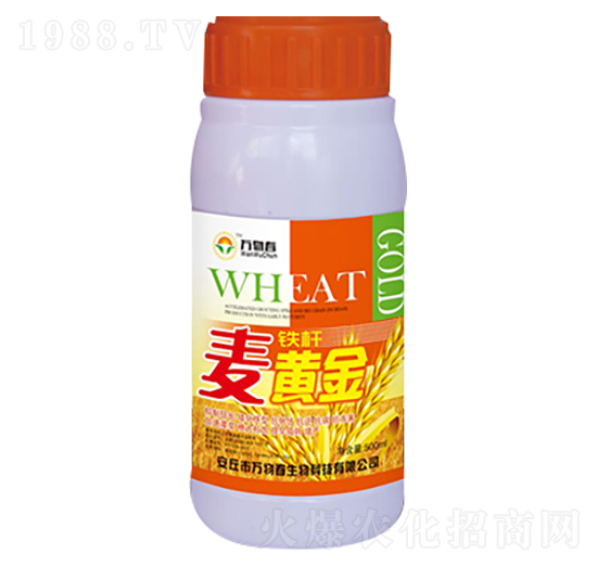 �F�U���S��-�f�ﴺ