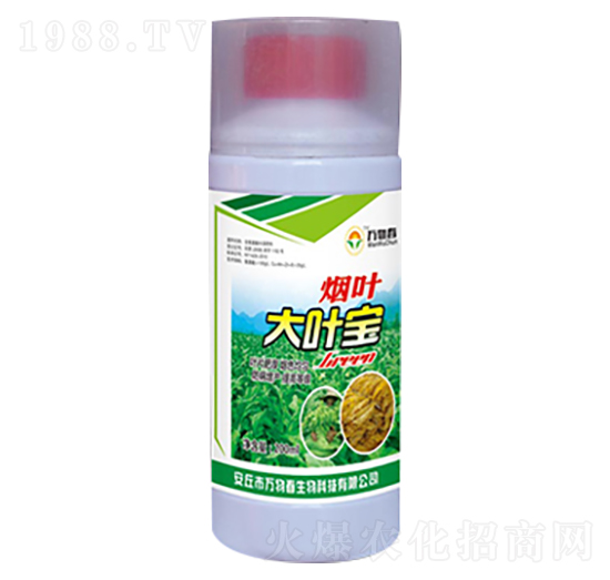 ���~���~��-�f�ﴺ