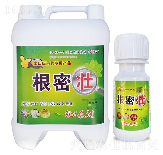 ���܉�-�̎��r�I(y��)