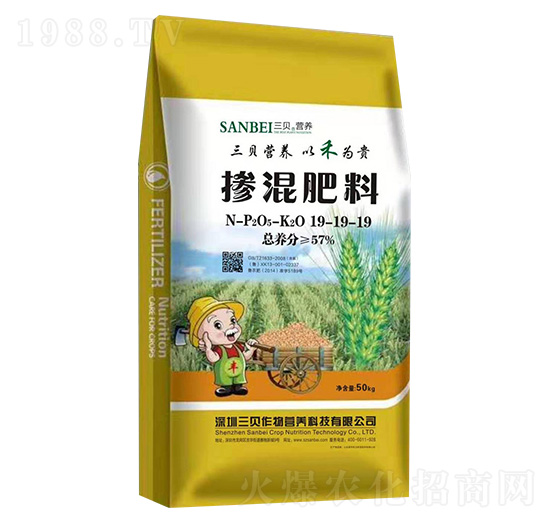 �������19-19-19-��ؐ���S