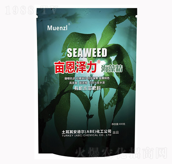 ���徫 ��������