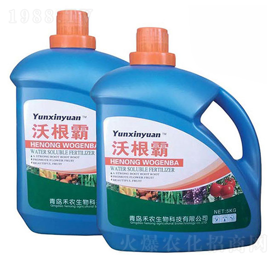 �ָ���-���r����