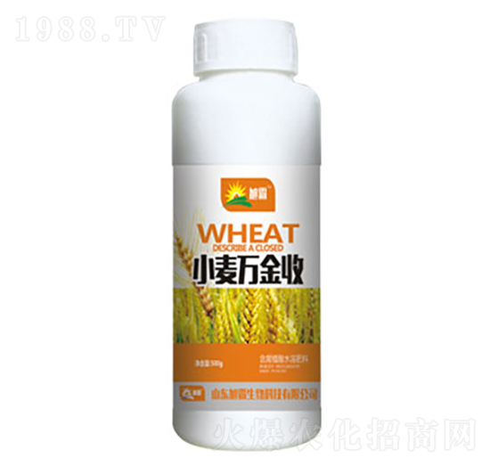 С���f(w��n)����-�������