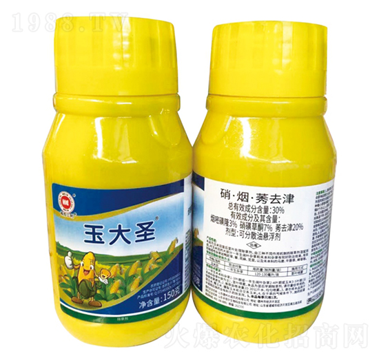 ���ʥ-��������