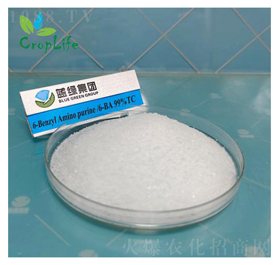 6-�S��������-��(��i)��˹����