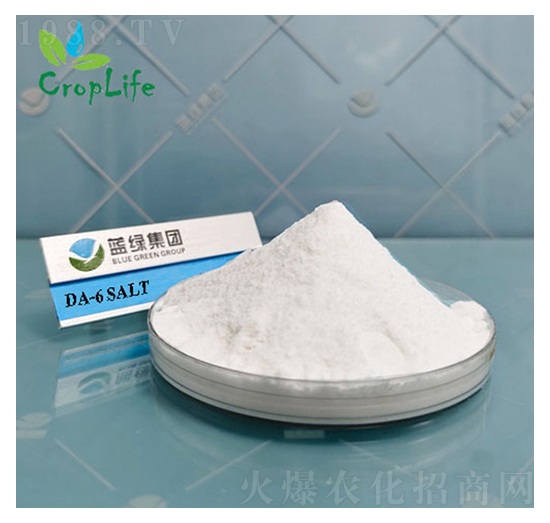 ������Ұ����Ҵ�����DA-6��-��(��i)��˹����