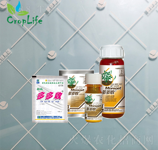 ���c��������-�����-����˹����