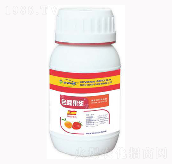 ɫ¡����-¡�ꠖ