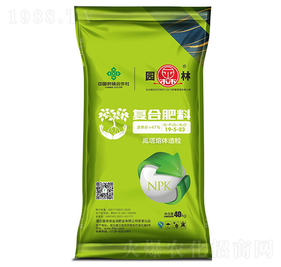 �ͺϷ���19-5-23-�@��-������