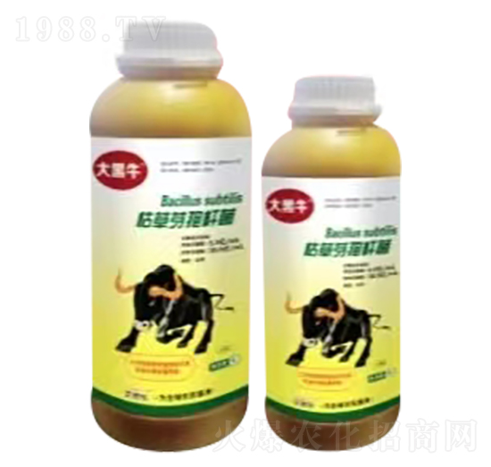 �ݲ�ѿ�ߗU��-���ţ-��˼��