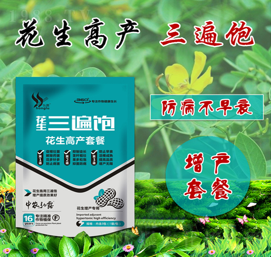 花生高產套餐-花生三遍飽-田小超