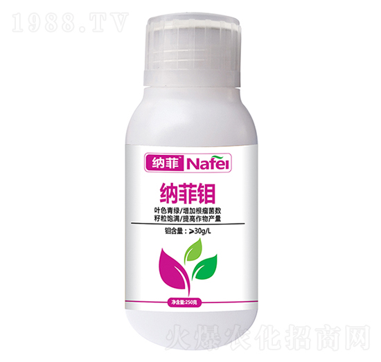 �{���f�~���-�ְ�ʘI(y��)