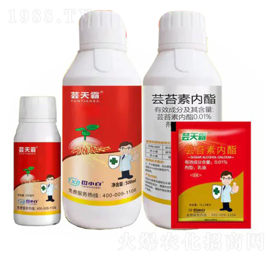 �|̦�؃�(n��i)��-�|���-��С��