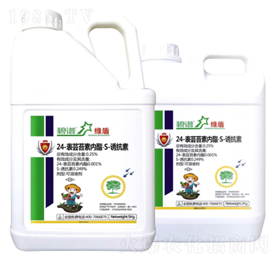 24-���|̦�؃�(n��i)����S-�T����-����-�����