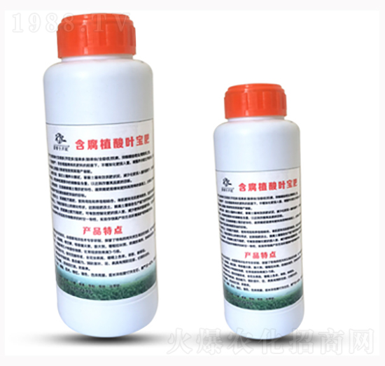 ����ֲ���~����-���rʮ���L