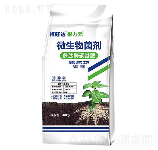 ����ø̿����-����Ԫ-�֠���